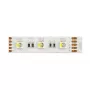 Synergy 21 Fita Flex LED 5050 - 60 RGB DC24V + RGB-W one chip ww IP68