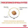 Comida seca Royal Canin Pomeranian Adult 3 kg – fórmula para raças pequenas para pomerânias adultos