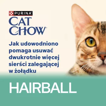 CAT CHOW Hairball Control frango feijão-verde em molho 85 g