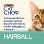 CAT CHOW Hairball Control frango feijão-verde em molho 85 g