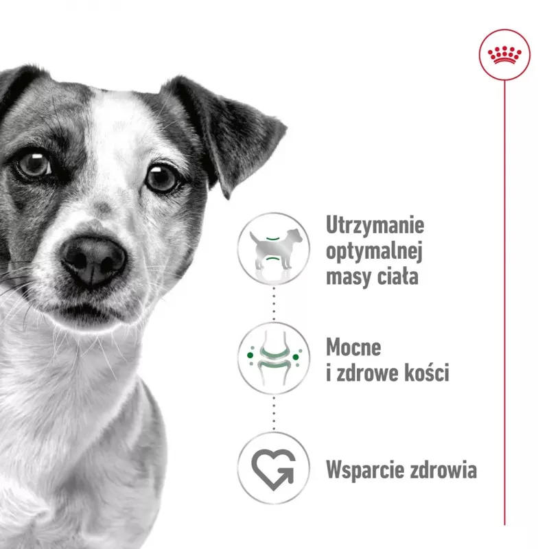 ROYAL CANIN Adult Mini S - Ração seca para cães - 2 kg