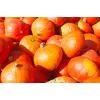 Sementes de hortícolas abóbora Uchiki Kuri Toraf, pacote 5g