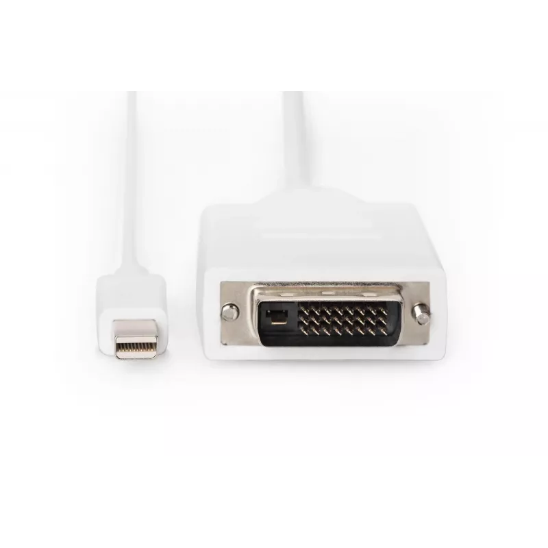 DIGITUS ASSMANN - Cabo adaptador - Mini DisplayPort (M)