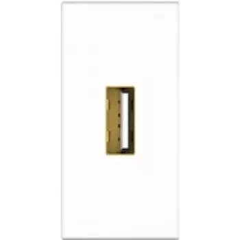 Kindermann Konnect flex 45 click - Faceplate modular Snap-In - USB 2.0 Type-A - Branco, RAL 9010