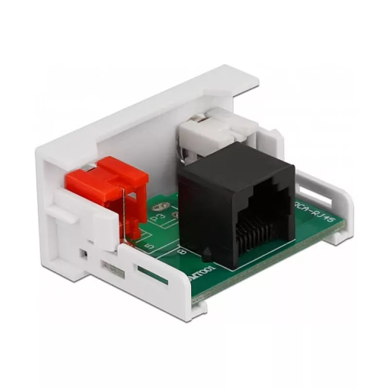 Módulo DeLOCK Easy 45 2 x conector fêmea RCA para conector fêmea RJ45 22,5 x 45 mm
