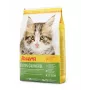 Alimento seco para gatos Josera Kitten aves 2 kg