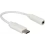 Cabo de áudio DeLOCK 65913 0,14 m 3,5 mm USB branco