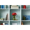LEGO Icons Buquê de Rosas Flores Artificiais Conjunto para Adultos Coleção Botânica Acessórios de Casa Presente de Dia dos Namorados para Mulheres