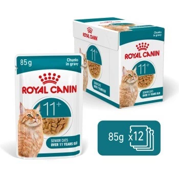 Comida húmida para gatos Royal Canin FHN Ageing 11+ Gravy 12×85 g – comida húmida completa sénior em tigelas