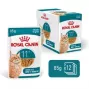 Comida húmida para gatos Royal Canin FHN Ageing 11+ Gravy 12×85 g – comida húmida completa sénior em tigelas