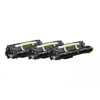 Unidade de revelação Lexmark CS820 CX8xx 300.000 páginas