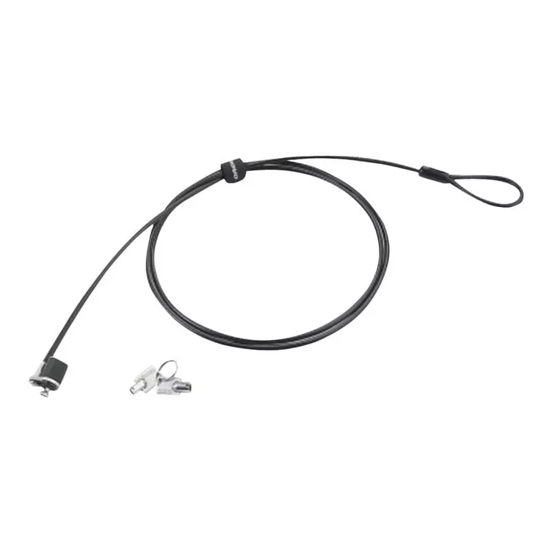 Cabo de segurança Lenovo 57Y4303 Preto, Prateado 1,52 m