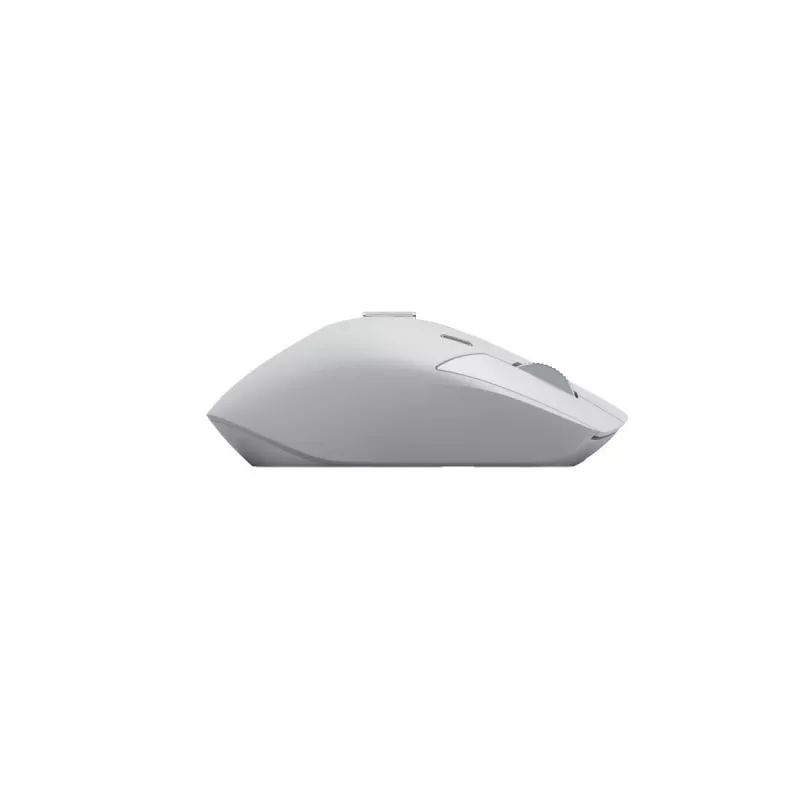 rato multi-modo branco