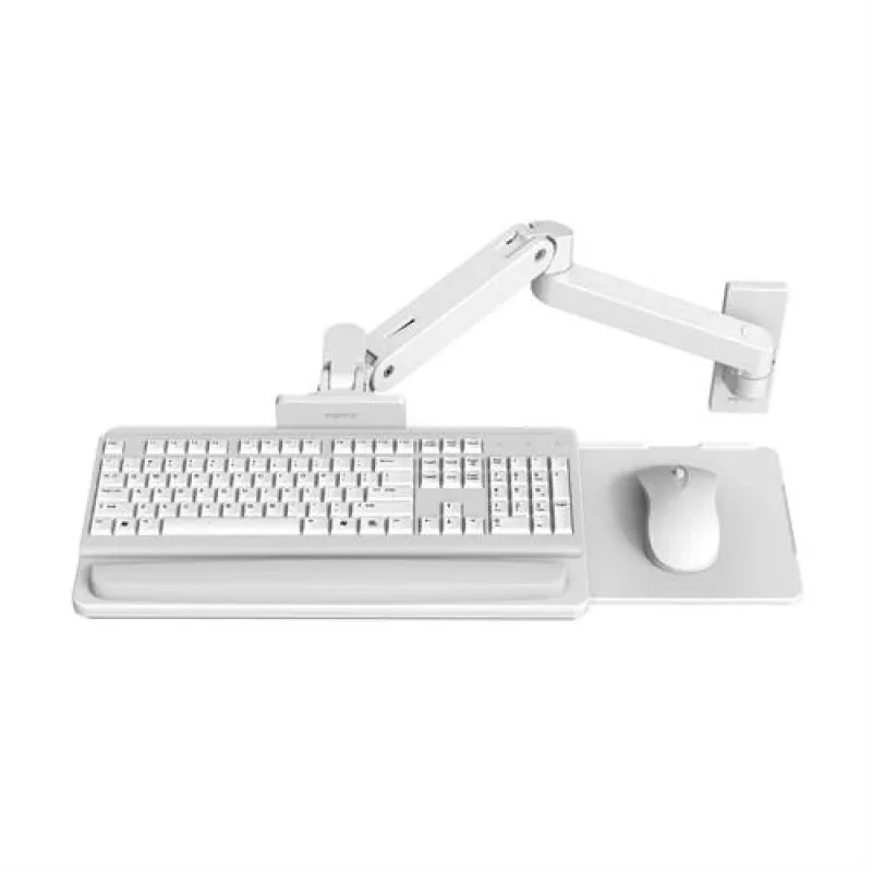 Ergotron LX Pro - bandeja de teclado/rato com suporte de braço (45-685-290)
