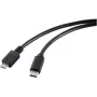 Renkforce RF-5720396 Cabo USB preto
