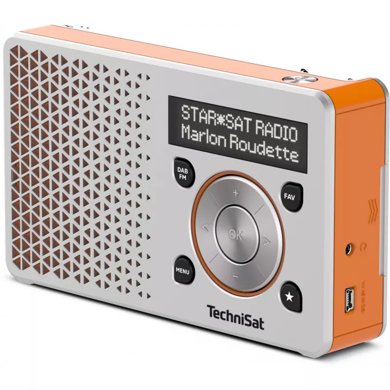 Technisat 0003/4997 prateado