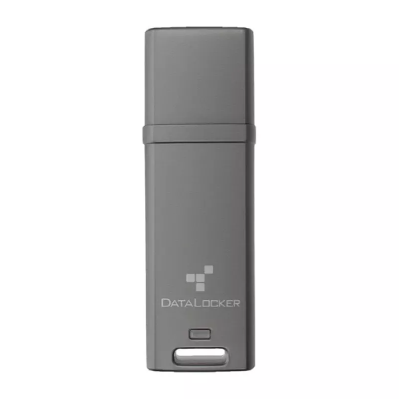 DataLocker 16GB DL GO 256BIT - memória flash USB 3.2 Gen 1 - sortido (DLGO-016)