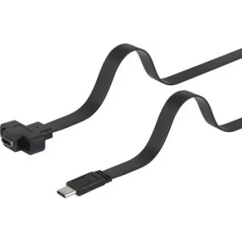 Cabo USB Renkforce RF-3415030 0,25 m 3.2 Gen 1 (3.1 Gen 1) USB C preto (RF-3415030)
