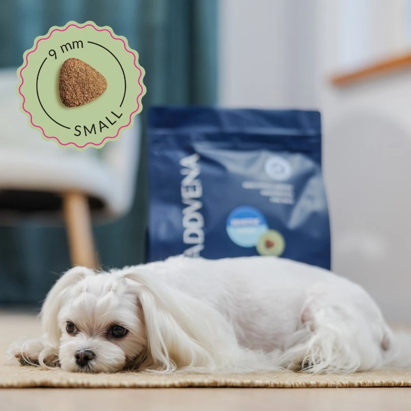 ADDVENA Power of Nature Adult Sensitive Small Lamb - alimentação seca para cães - 2,5 kg