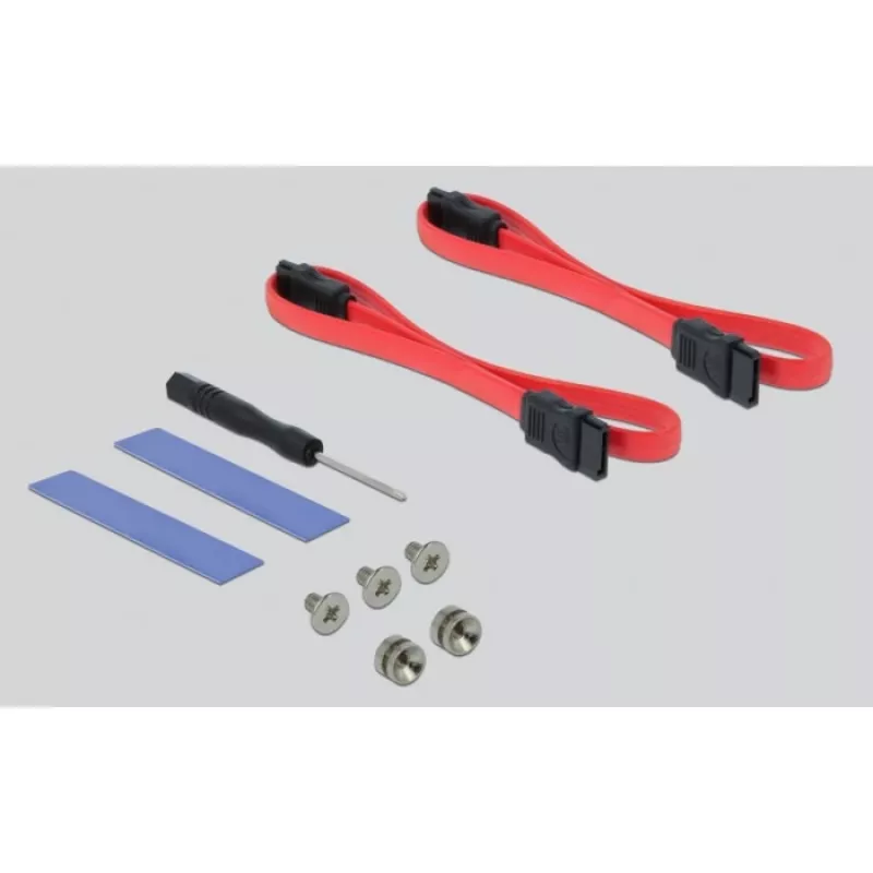 DeLOCK - Controlador de memória - mSATA, M.2 - M.2 Card / mSATA Low-Profile - SATA 6Gb/s, PCIe 4,0 x16 (90486)