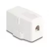 Delock 85841 Caixa Keystone vazia, 1 porta, base magnética, branco