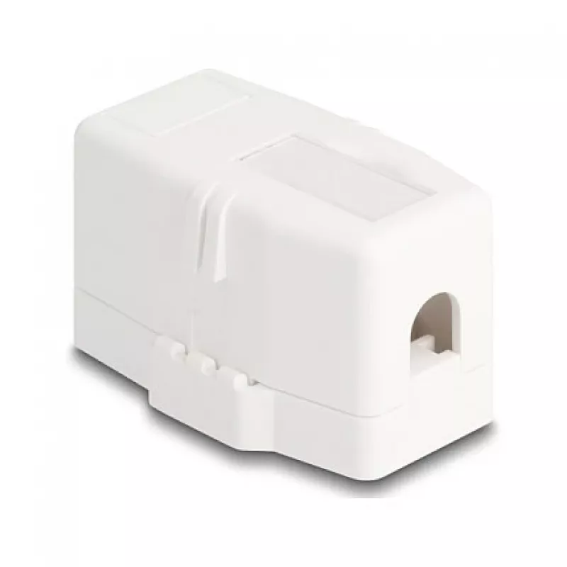 Delock 85841 Caixa Keystone vazia, 1 porta, base magnética, branco