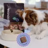 ADDVENA Boosted by superfoods Adult Medium/Large Beef - ração seca para cães - 2,5 kg