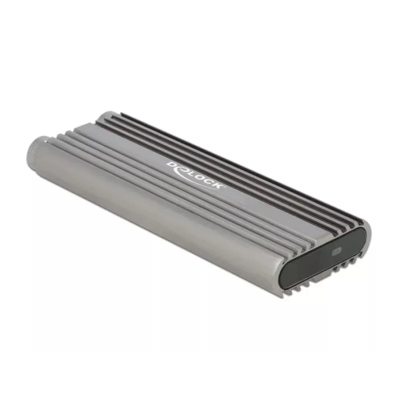 Caixa para SSD DeLOCK 42001 prateado M.2