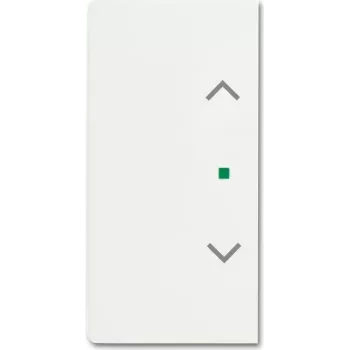 Busch-Jaeger 2CKA006220A0488 placa de cobertura para suporte de sensor e caixa branco (2CKA006220A0488)
