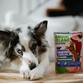 ANIMAL ISLAND Everyday Monoproteico vitela - comida húmida para cães - 300g