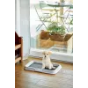 Bandeja sanitária para cão/gato ZOLUX aberta preta, cinzenta