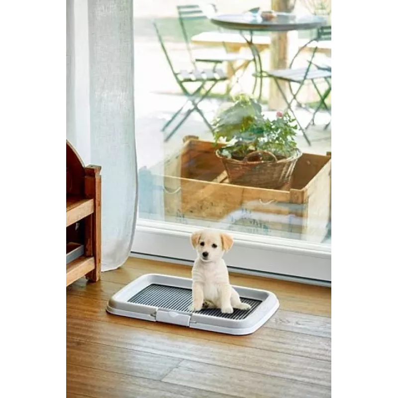 Bandeja sanitária para cão/gato ZOLUX aberta preta, cinzenta