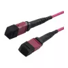 Cabo de patch de fibra ótica MTP fêmea OM4 LowLoss(ELite), 12 fibras, Tipo B cruzado, heather violeta, 7,5 m, Synergy 21 (S216790)