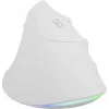 Rato NATEC Crake 2 Pro universal destros USB Type-A ótico 12800 DPI