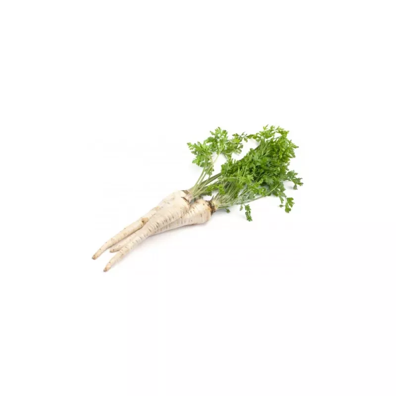 PNOS salsa de raiz Alba sementes de hortícolas, 3 g