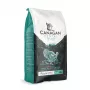 Ração seca para gatos Canagan Dental 1,5 kg
