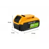 Ferramenta sem fios a bateria Verde Cell PTDW18V4