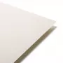 Cartolina maioritariamente de madeira de pinho, A4, 300 g, 10 folhas, branco