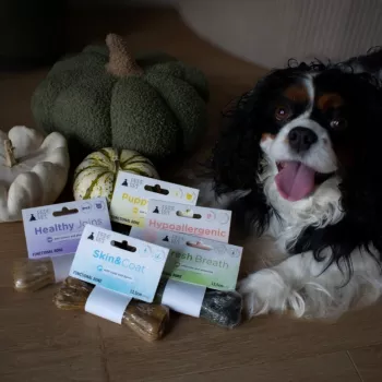PAKA ZWIERZAKA Pepe Vet Healthy Joints snack para cães 13,5 cm