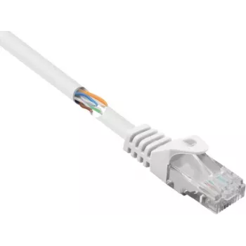 Renkforce RF-5043828 Cabo de rede Ethernet Branco