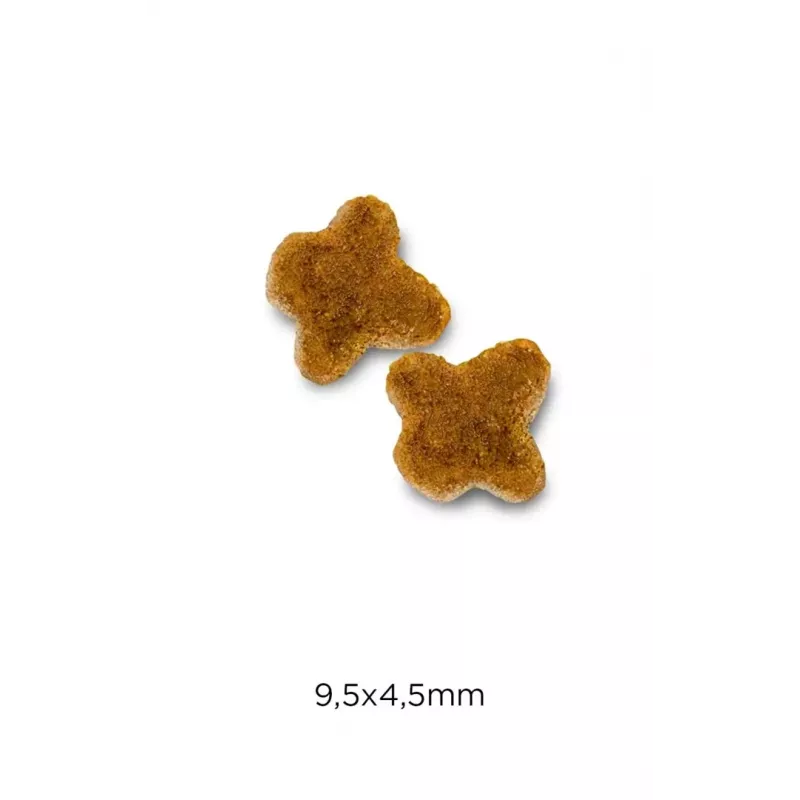 OPTIMANOVA Cat Kitten frango e arroz - comida seca para gatos - 2 kg