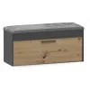 Sapateira fechada Top e Shop PARMA — antracite e carvalho, aglomerado, 1000×490×350 mm