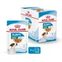 ROYAL CANIN SHN Mini Puppy in Sauce - Comida húmida para cachorros - 12X85g
