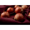 Sementes de hortícolas cebola Wolska Toraf, pacote 5g