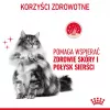 ROYAL CANIN Hair&Skin Care Adult - ração seca para gatos - 400g