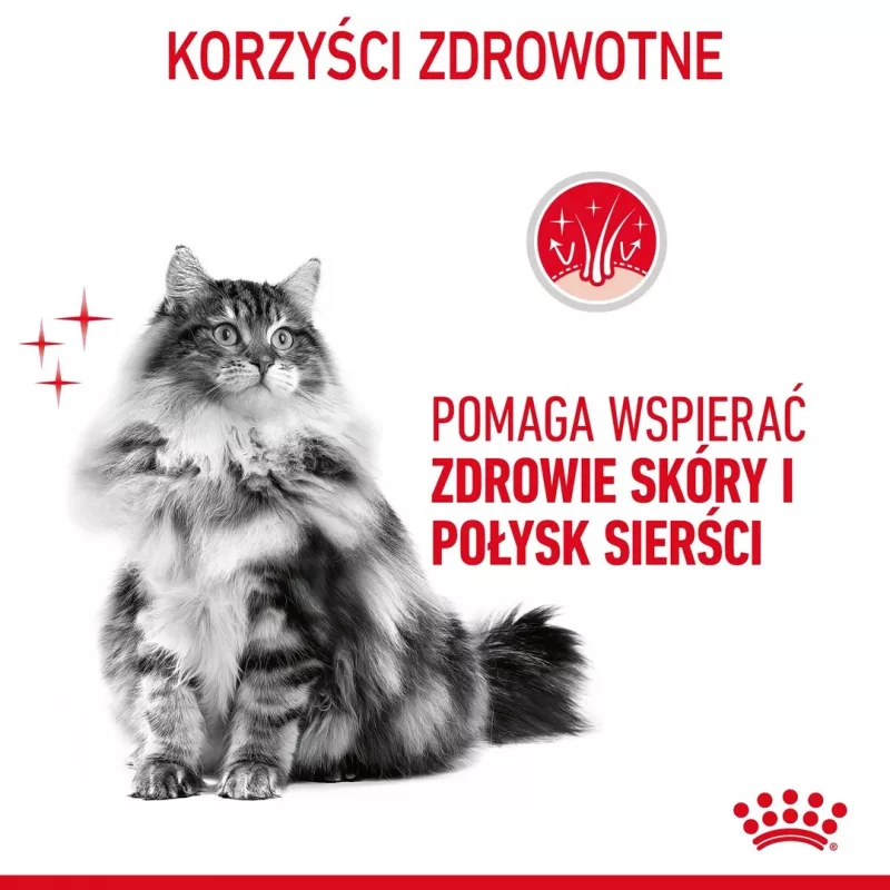 ROYAL CANIN Hair&Skin Care Adult - ração seca para gatos - 400g
