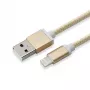 Sbox USB 2.0 8 Pin IPH7-G dourado