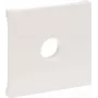 Legrand SEANO Placa de cobertura 765165 para tomada de ligação tipo F na 5 (765165)