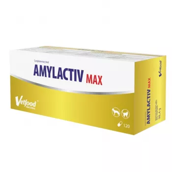 Suplemento alimentar Vetfood Amylactiv MAX – comprimidos de apoio à digestão para cães e gatos, 120 cápsulas, 100 g, sem soja e sem glúten