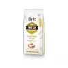 Brit Fresh Adult ração seca para cães 12 kg, frango, maçã, trigo-sarraceno, batata